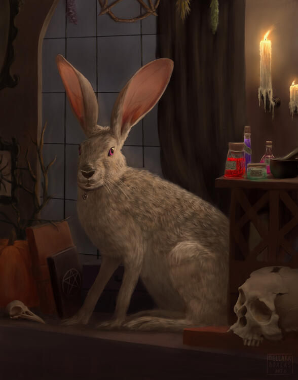 the witch's familiar